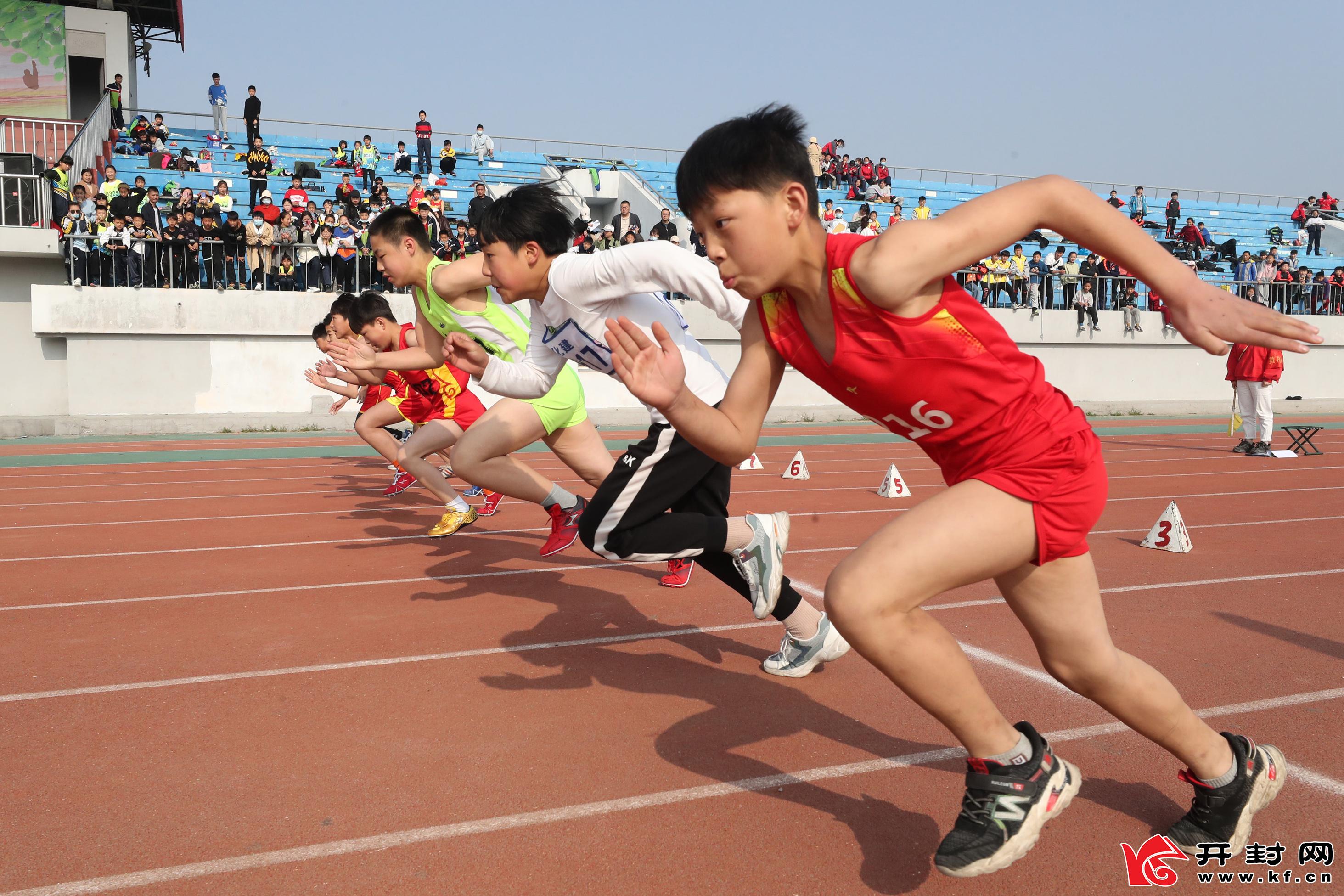 海豚体育网址雅阁运动系列耀世登场 以旗舰之姿重塑中高级轿车价值标杆
